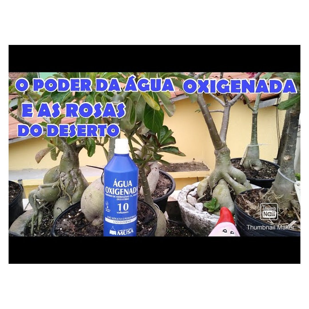 Agua Oxigenada Liquida Spray 10V 1